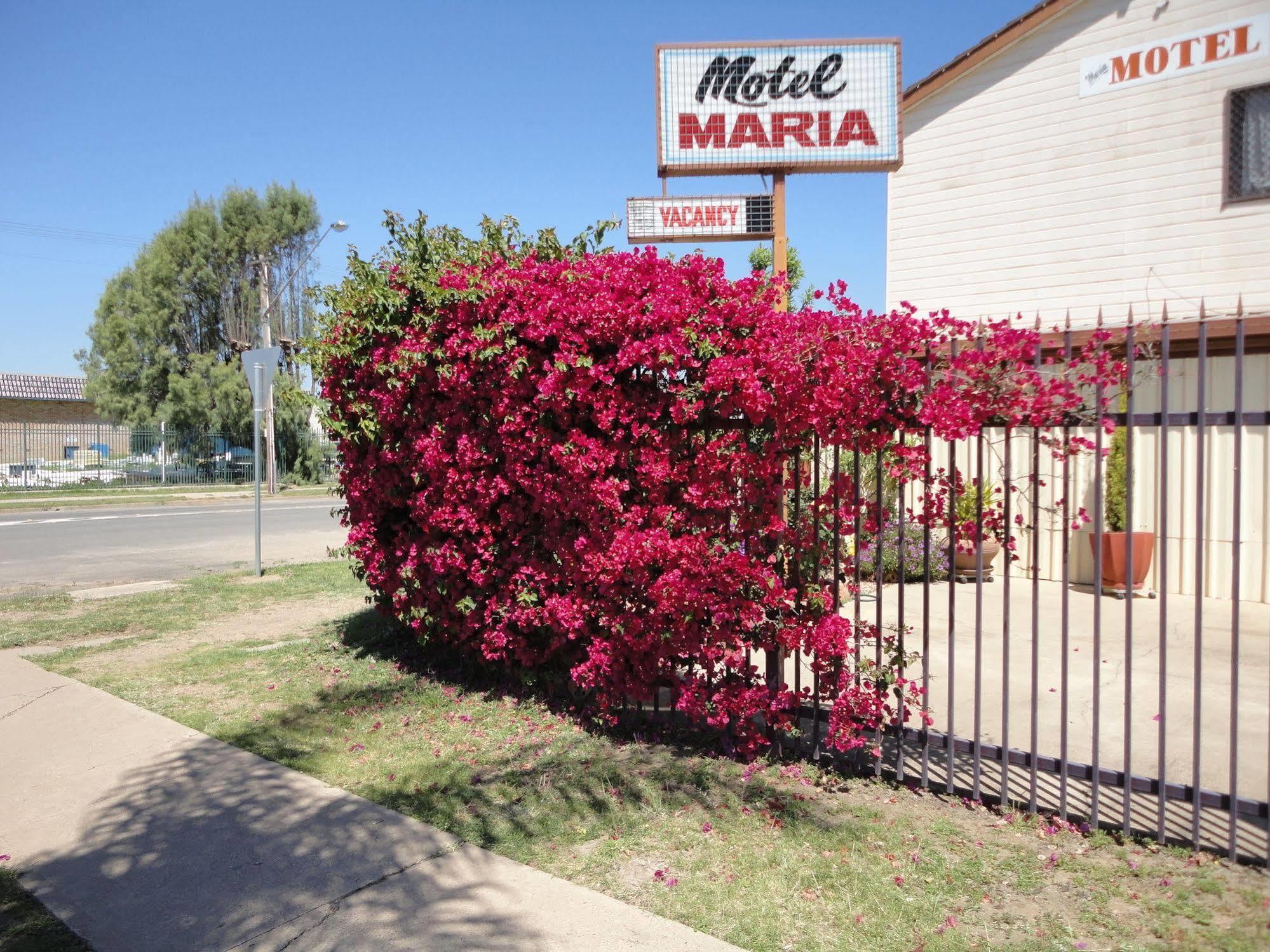 Maria Motel Moree Exterior foto